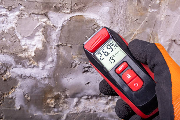 Best Industrial Mold Remediation in Rensselaer, NY