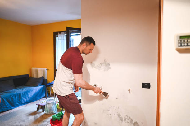 Reliable Rensselaer, NY Mold Remediation Solutions